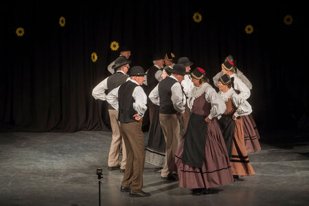 Maroltovo srečanje znova združilo koroške folklorne skupine (17)